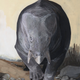 Illustration for article titled During the Triassic, This Elephant-Sized Relative of Mammals Lived Alongside the Dinosaurs